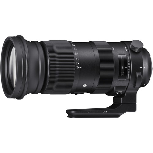 SIGMA 60-600mm f/4.5-6.3 (S) DG OS HSM p/ Canon EF