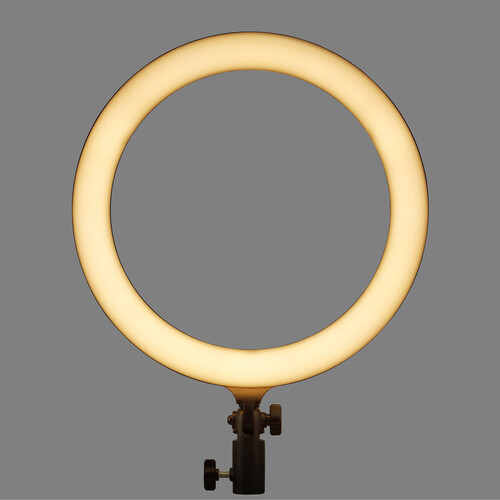 Iluminador LED Ring Light LR120 (Bi-color)