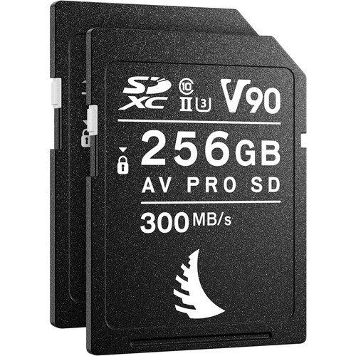 Match Pack SD V90 2x 256GB p/ Canon R6