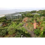 CANON RF 15-30mm F4.5-6.3 IS STM - Imagem 16