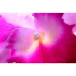 CANON RF 15-30mm F4.5-6.3 IS STM - Imagem 17