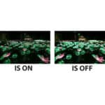 CANON RF 15-30mm F4.5-6.3 IS STM - Imagem 11