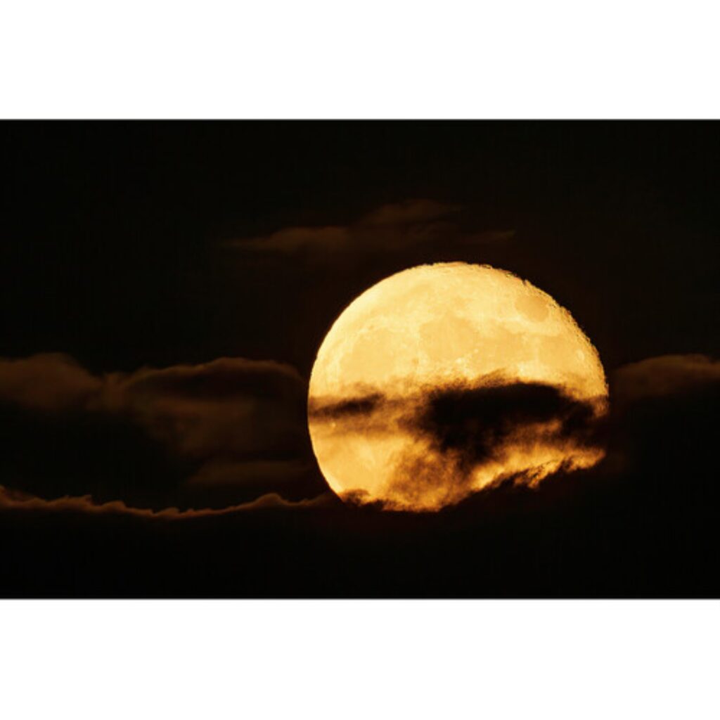 1698882588 IMG 2111799