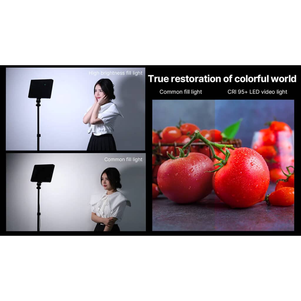 1722977146 IMG 2307978