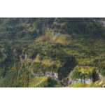 SONY FE 28-70mm f/3.5-5.6 OSS (BULK) | SEL2870 - Imagem 8