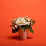 SUPERIOR Fundo de Papel 39 BRIGHT ORANGE 1.35x11m - Imagem 3