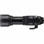 SIGMA 150-600mm f/5-6.3 DG DN OS Sports Sony E - Imagem 6