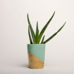 SUPERIOR Fundo de Papel 28 SNOW - 2.72X11M - Imagem 2