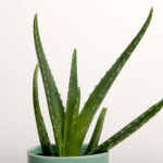 SUPERIOR Fundo de Papel 28 SNOW - 2.72X11M - Imagem 3