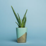 SUPERIOR Fondo de Papel  02 SKY BLUE - 2.72X11M - Imagen 5