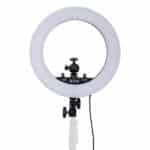 Anillo de luz LED QZSD LR-12 (bicolor) 20W