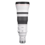 CANON RF 600mm f/4L IS USM - Imagen 5