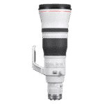 CANON RF 600mm f/4L IS USM - Imagen 6