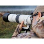 CANON RF 200-800mm f/6.3-9 IS USM - Imagem 12