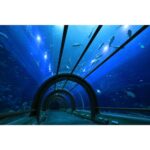 CANON RF-S 10-18mm f/4.5-6.3 IS STM - Imagem 12