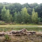 CARUBA Rede de camuflagem 4x1.5m - Canavial - Imagem 4