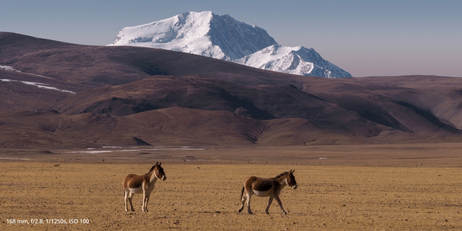 da7844969889ef626f11b4657573e865@origin 1