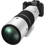 FUJIFILM XF 150-600mm f/5.6-8 R LM OIS WR - Imagen 13