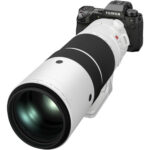 FUJIFILM XF 150-600mm f/5.6-8 R LM OIS WR - Imagen 19
