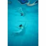 GODOX WT60D Tubo de buceo LED Luz diurna 60cm (5600K) - Imagen 6