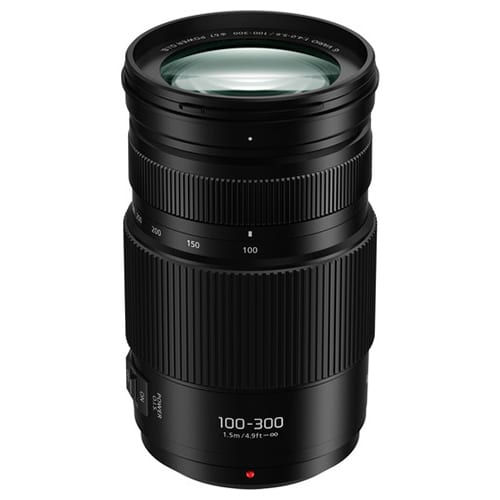 PANASONIC 100-300mm f/4-5.6 II Power OIS