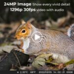 K&F CONCEPT Câmara de Caça 4K 24MP KF35.066 - Imagem 5