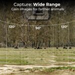 K&F CONCEPT Câmara de Caça 4K 24MP KF35.066 - Imagem 8