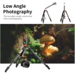 Trípode K&F CONCEPT D254C1 + BH-28L - KF09.109 - Imagen 9