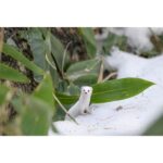 NIKON NIKKOR Z 180-600MM F/5.6-6.3 VR - Imagem 19