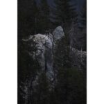 NIKON NIKKOR Z 180-600MM F/5.6-6.3 VR - Imagem 26