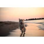 NIKON Z f + Z 40mm f/2 (SE) - Imagem 27