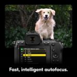 NIKON Z5 II + 24-200mm f/4-6.3 - Imagem 9