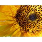 PANASONIC Lumix DC-FZ82D - Imagem 20