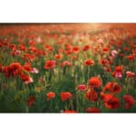 SIGMA 28-45mm f/1.8 DG DN Art Montura L - Imagen 9