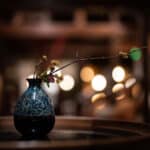 SIGMA 50mm f/1.2 DG DN Art - Imagem 8