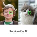 SONY Cyber-shot RX100 VII - Imagem 6