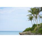 SONY Objetiva FE 50-150mm f/2 GM  (G MASTER) - Sony E - Imagem 37