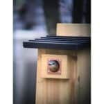 Telescopio de ángulo VORTEX Viper HD 15-45x65 - Imagen 4