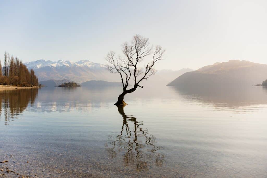 TTArtisan 40mm F7.1 3