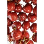 NIKON Z50 II + DX 16-50mm f/3.5-6.3 + Colete - Imagem 38