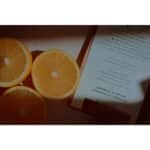 NIKON Z50 II + DX 16-50mm f/3.5-6.3 + Colete - Imagem 39