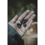 OM SYSTEM OM-5 MARK II + 12-45mm F4.0 PRO (Prateado) - Imagem 20