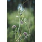 OM SYSTEM OM-5 Mark II + ED 14-150mm F4-5.6 II (Preta) - Imagem 22