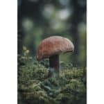 OM SYSTEM OM-5 Mark II + ED 14-150mm F4-5.6 II (Preta) - Imagem 25