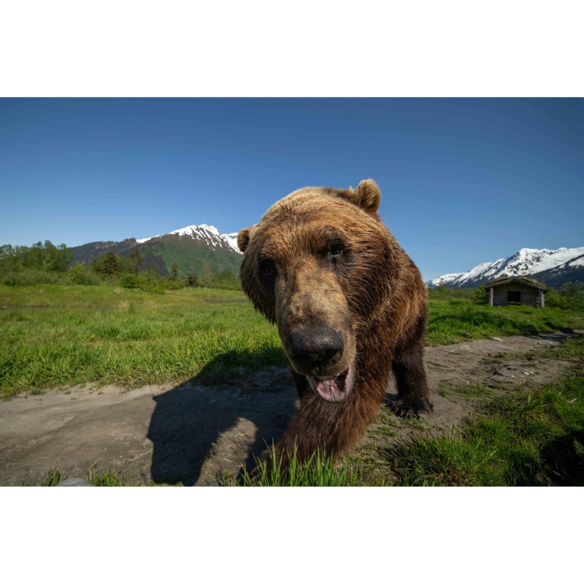 LAOWA 12mm f/2.8 Lite Zero-D FF Nikon Z AF - Imagem 13