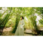 LAOWA 12mm f/2.8 Lite Zero-D FF Nikon Z AF - Imagem 17