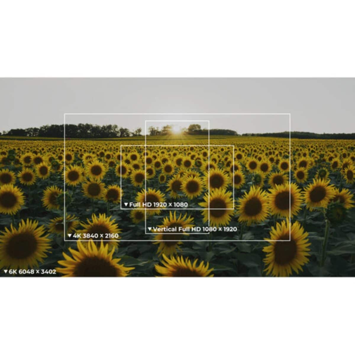 Nikon ZR - Imagem 13