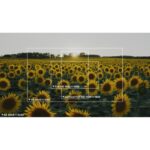 Nikon ZR - Imagem 13