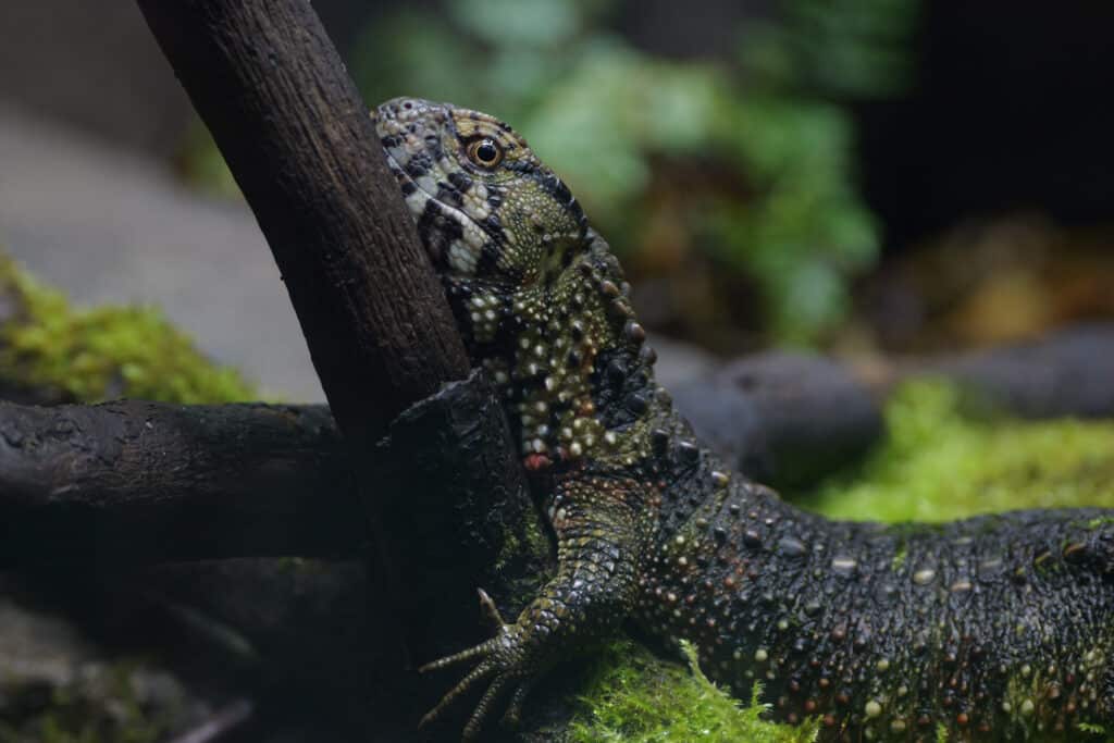 92ePHLRsm6cgA9XY6vQYoD 1