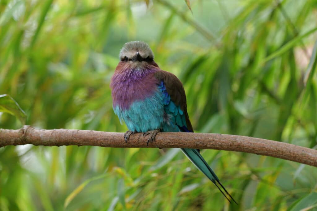 BVp3A7LDb5zXyNUEkeG9oD 1